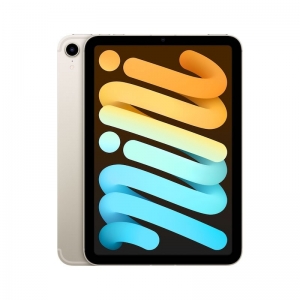 APPLE IPAD MINI 6 (2021) (A2568) REMONTAS – EKRANO, BATERIJOS KEITIMAS