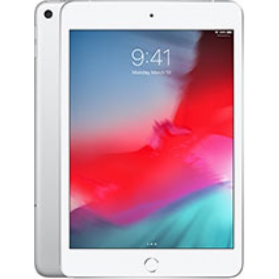 APPLE IPAD MINI (2019) (A2126, A2124, A2133, A2125) 5TH REMONTAS – EKRANO, BATERIJOS KEITIMAS