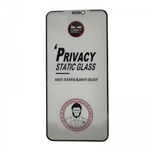 LCD apsauginis stikliukas ESD Anti-Static Privacy Xiaomi Redmi 14C / Redmi A4 / Poco C75
