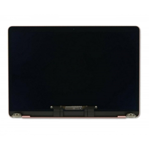 LCD modulis 13.3